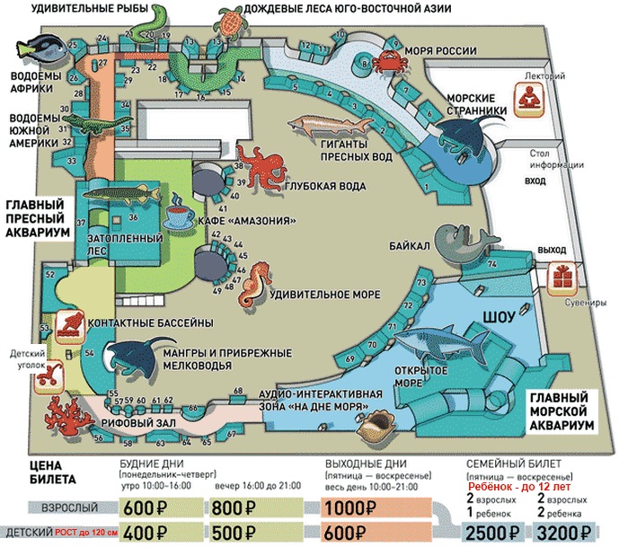 Самый большой океанариум в Москве. Где находится Москвариум на ВДНХ, как доехать, цены, расписание