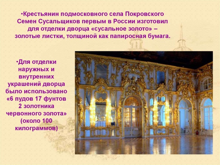 Екатерининский дворец в Санкт-Петербурге. Фото, где находится, как добраться. Режим работы
