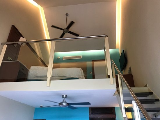Барсело Баваро Палас Делюкс (Barcelo Bavaro Palace 5*) Доминикана. Карта отеля, фото. Горящие туры