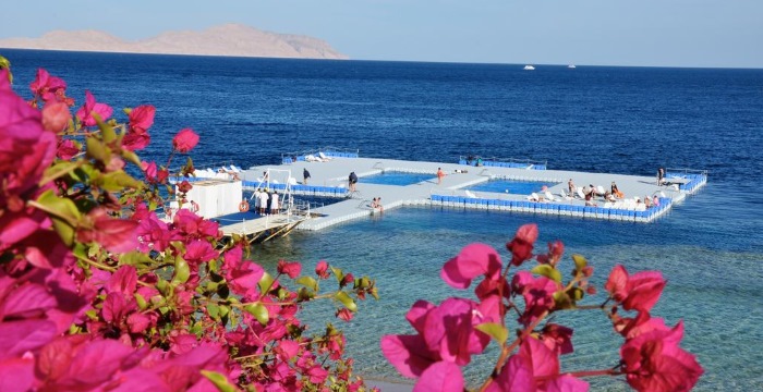 Отель Domina Sultan Hotel Resort, 5* (Султан Гарденс Резорт 5) Шарм эль Шейх, Египет. Фото, описание, цены