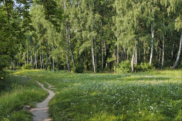 Курск. Достопримечательности города и красивые места. Что посмотреть за 1 день, экскурсии