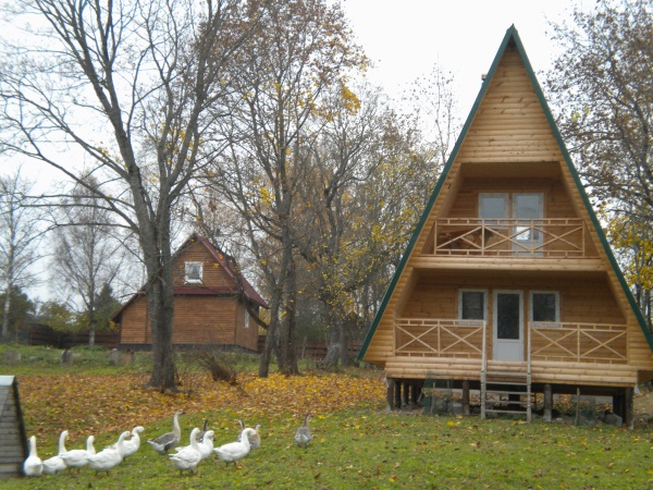 Загородный отдых в Ленинградской области. Недорого, коттеджи с бассейном, база отдыха. Цены