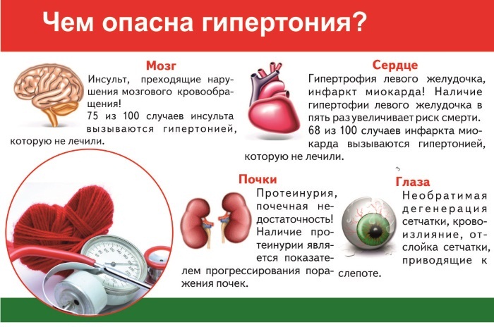 Батутные центры в Москве. Рейтинг лучших: Небо, Невесомость, Космос, Атмосфера, Вэйпарк, Флип энд флай, Just Jump, Весна