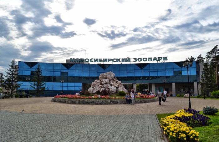 Интересные места в Новосибирске для подростков, детей. Куда сходить, что посмотреть туристу