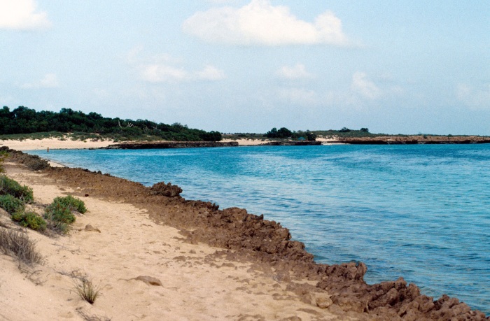 Красное море. Где находится на карте мира, страны для отдыха, курорты, цены на туры