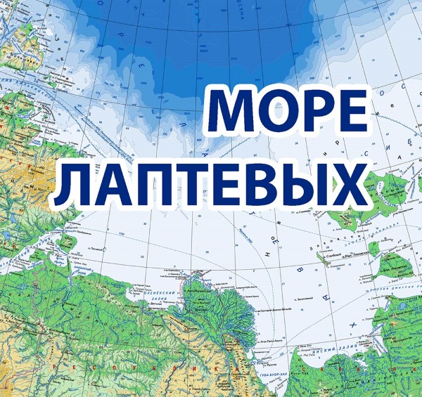 Моря Северного Ледовитого океана. Обитатели, течения, соленость, площадь