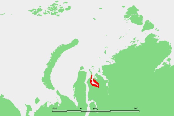 Моря Северного Ледовитого океана. Обитатели, течения, соленость, площадь