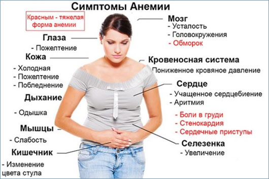 Перелеты во время беременности. Как влияет, опасен ли длительный, как подготовиться