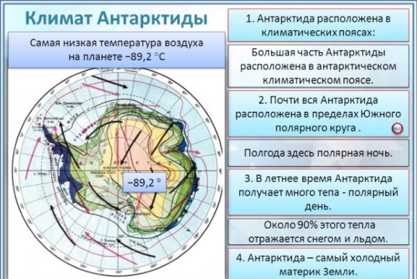 Что не является континентом арктика или антарктика