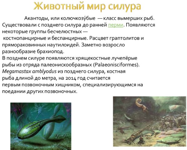 Большой водораздельный хребет. Где находится на карте мира, возраст, самая высокая точка, складчатость, тип гор, полезные ископаемые