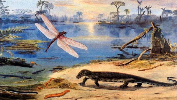 Большой водораздельный хребет. Где находится на карте мира, возраст, самая высокая точка, складчатость, тип гор, полезные ископаемые