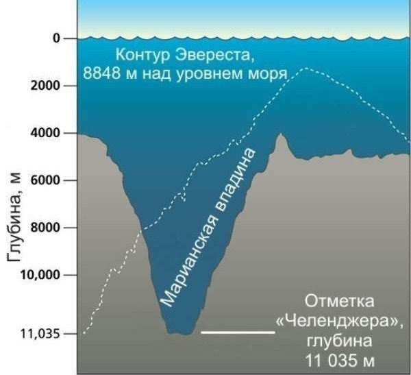 Интересные факты о Тихом Океане. Презентация для детей, описание