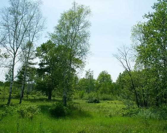 Комсомольск на Амуре, Хабаровский край. Достопримечательности, что посмотреть, куда сходить туристу