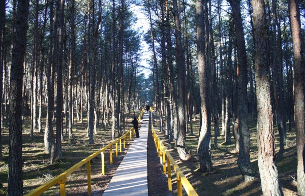 Куршская коса, Калининград. Фото, где находится на карте, достопримечательности, экскурсии, отдых