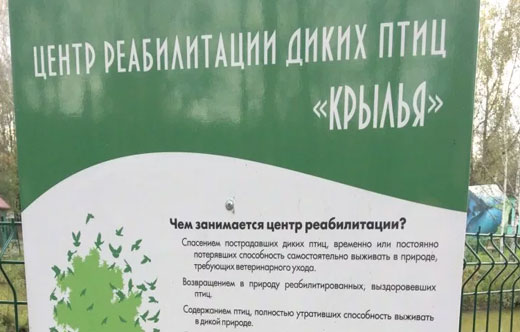 Кузнецкий Алатау на карте России. Где находится хребет, горы, описание