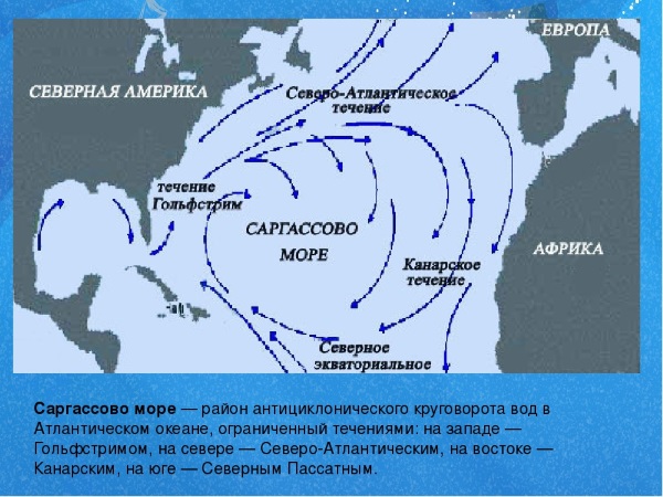 Моря и заливы Атлантического океана. Список, названия, фото