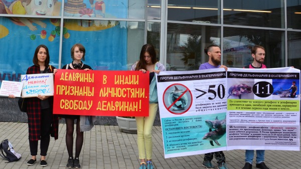 на какой улице находится океанариум в екатеринбурге. Смотреть фото на какой улице находится океанариум в екатеринбурге. Смотреть картинку на какой улице находится океанариум в екатеринбурге. Картинка про на какой улице находится океанариум в екатеринбурге. Фото на какой улице находится океанариум в екатеринбурге