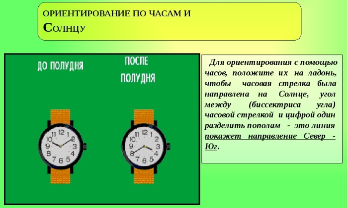 Способы ориентирования на местности по карте и без, местным природным признакам. Презентация для детей