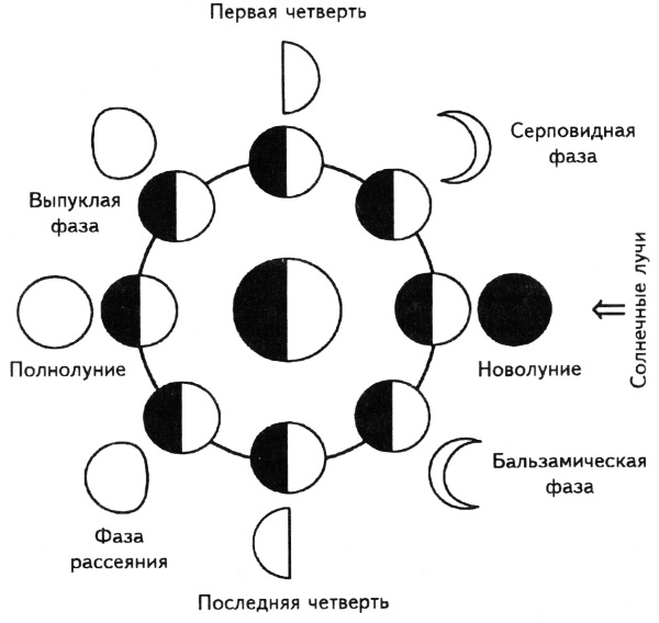 Способы ориентирования на местности по карте и без, местным природным признакам. Презентация для детей