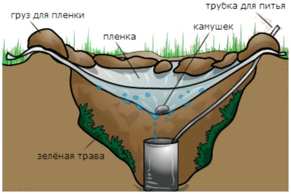 Выживание на необитаемом острове в реальной жизни. Основы, что важно знать