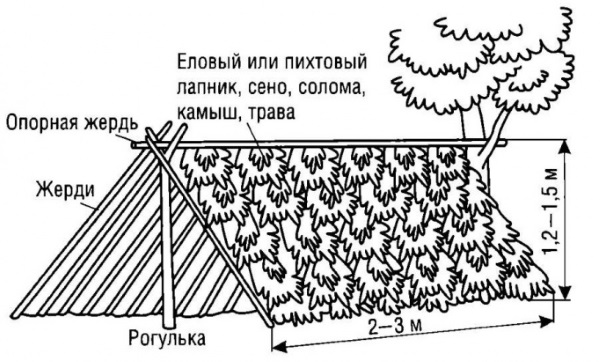 Выживание на необитаемом острове в реальной жизни. Основы, что важно знать