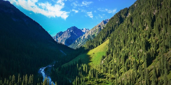 Как выглядит абхазия на карте. Смотреть фото Как выглядит абхазия на карте. Смотреть картинку Как выглядит абхазия на карте. Картинка про Как выглядит абхазия на карте. Фото Как выглядит абхазия на карте