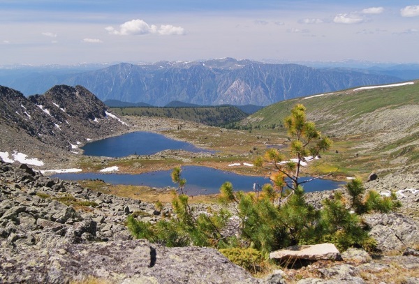 Алтайский заповедник что охраняется. altayskiy zapovednik 1. Алтайский заповедник что охраняется фото. Алтайский заповедник что охраняется-altayskiy zapovednik 1. картинка Алтайский заповедник что охраняется. картинка altayskiy zapovednik 1