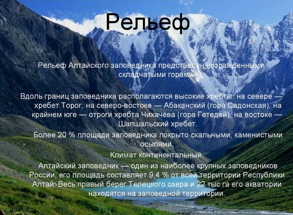 Алтайский заповедник что охраняется. altayskiy zapovednik 9. Алтайский заповедник что охраняется фото. Алтайский заповедник что охраняется-altayskiy zapovednik 9. картинка Алтайский заповедник что охраняется. картинка altayskiy zapovednik 9