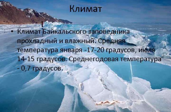 Байкальский заповедник. Описание, где находится биосферный парк, животные, природа