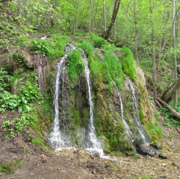 Красивые места в Подмосковье для отдыха на природе, фотосессии, куда поехать на машине