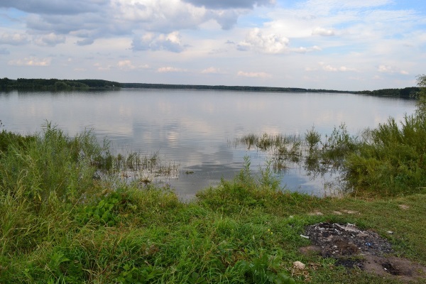 Красивые места в Подмосковье для отдыха на природе, фотосессии, куда поехать на машине