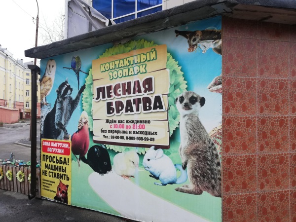 Нижний Тагил. Где находится на карте России, фото, достопримечательности города