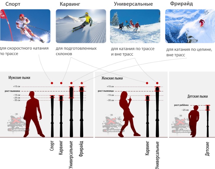 Что значит ростовка горных лыж