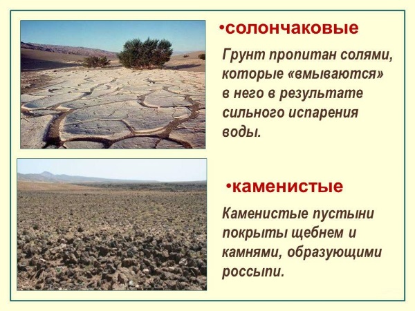 в какой стране находится самая маленькая пустыня в мире. samye malenkie pustyni na zemle 14. в какой стране находится самая маленькая пустыня в мире фото. в какой стране находится самая маленькая пустыня в мире-samye malenkie pustyni na zemle 14. картинка в какой стране находится самая маленькая пустыня в мире. картинка samye malenkie pustyni na zemle 14. Во время поездки по шоссе Клондайк, проходящего канадской провинции Юкон, пейзаж постепенно переходит от скалистых гор с широкими озерами к. пустыне! Да, здесь, на северо-западе Канады, где зимой температура опускается ниже нуля, а вокруг резвятся и играют олени, из нескольких дюн образовалась самая маленькая пустыня в мире. Имя ей Каркросс.