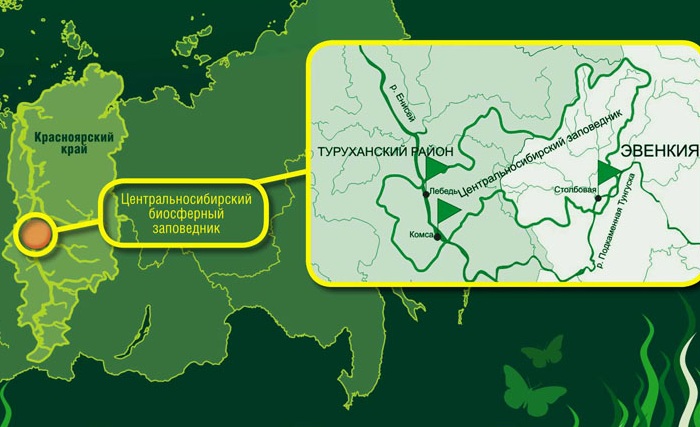 Самые большие заповедники в России по площади. Местонахождение, растительный и животный мир
