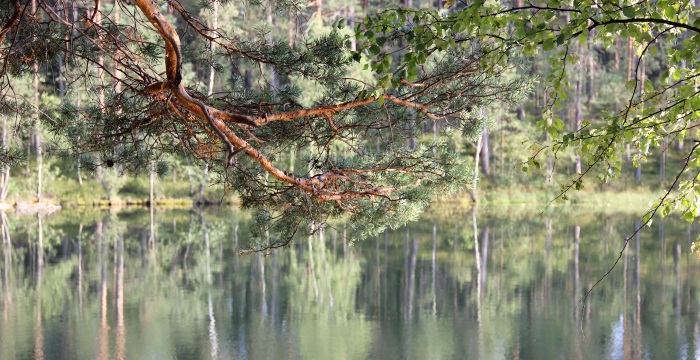 Себежский национальный парк, Псковская область, Россия. Фото, карта, отдых