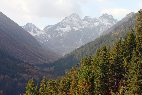 тебердинский заповедник какие животные там обитают. teberdinskiy zapovednik 4. тебердинский заповедник какие животные там обитают фото. тебердинский заповедник какие животные там обитают-teberdinskiy zapovednik 4. картинка тебердинский заповедник какие животные там обитают. картинка teberdinskiy zapovednik 4