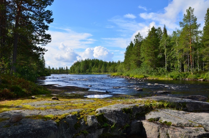 Водлозерский национальный парк фото