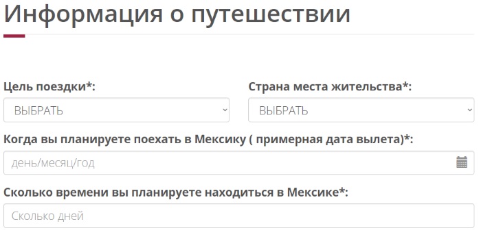 Электронное разрешение в Мексику для россиян. Как оформить визу, что заполнять на сайте