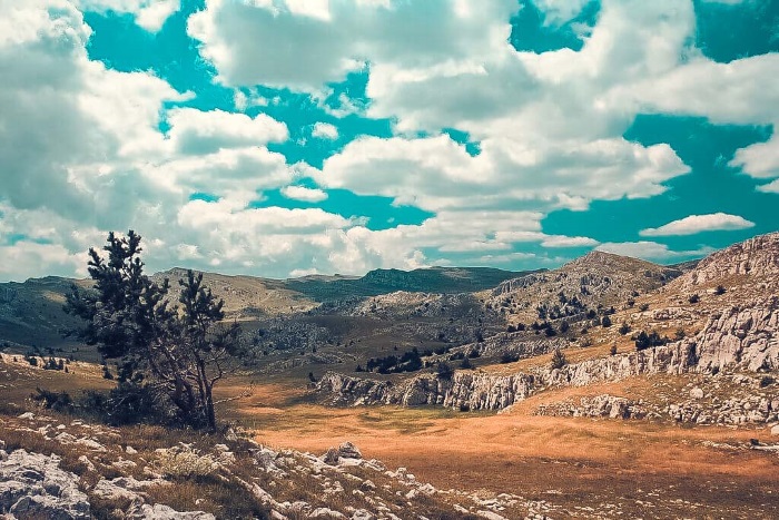 Горы в Крыму самые высокие. Ай-Петри, Медведь, Крокодил. Фото, характеристики
