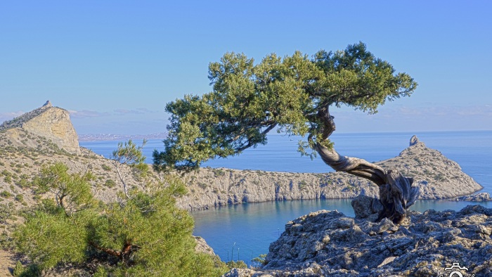 Самые интересные и красивые места для отдыха в Крыму. Курорты, горы, пляжи, природные достопримечательности