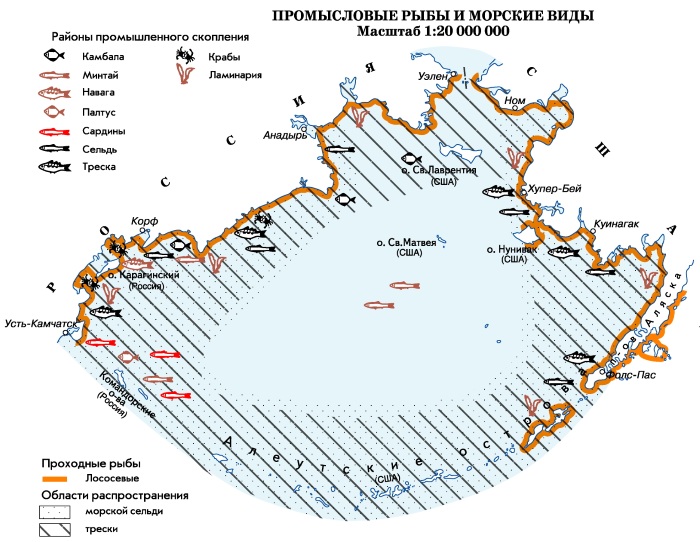 Моря, омывающие Россию. Презентация, карта, характеристики и описание