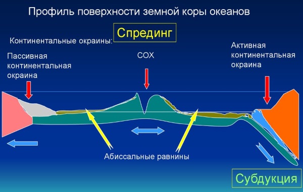 Что не относится к равнинным формам земного рельефа