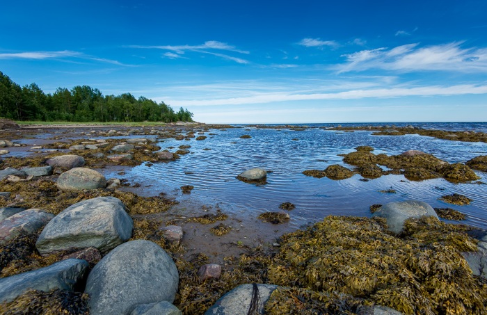 Самые красивые моря в мире для отдыха, дайвинга, по флоре и фауне. Фото