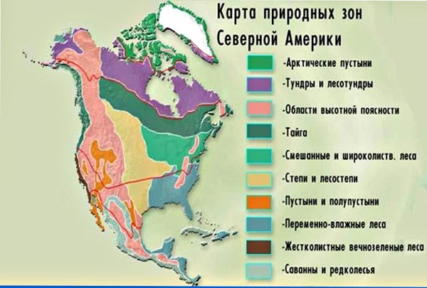 Северная Америка. Достопримечательности, фото природы, география, животные, растительность континента