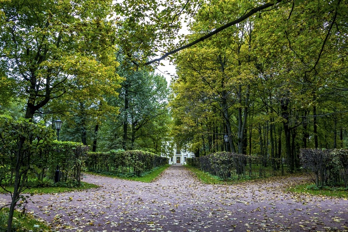 Усадьба Кусково музей, парк. Фото, история, как добраться, экскурсии, выставки