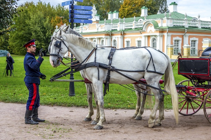 Усадьба Кусково музей, парк. Фото, история, как добраться, экскурсии, выставки