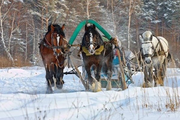 Юрьев-Польский. Достопримечательности, фото, что посмотреть самостоятельно туристу, маршрут, экскурсии