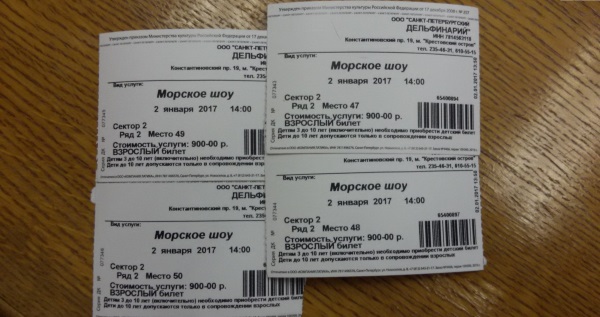 Дельфинарий на Крестовском в Санкт-Петербурге. Плавание с дельфинами. Фото зала, какие места лучше, как добраться, цены
