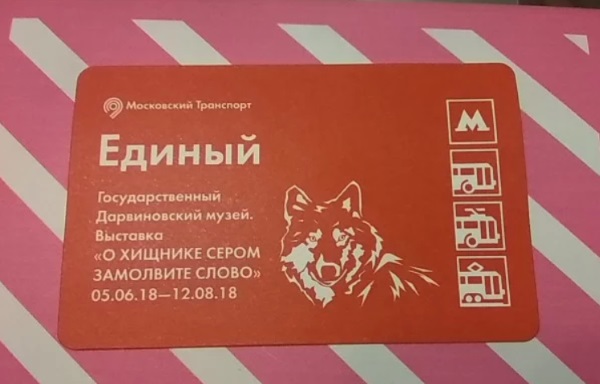 Государственный Дарвиновский музей, Москва. Адрес, фото, как добраться, время работы